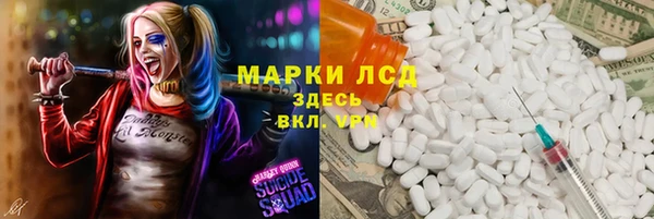 стаф Заводоуковск