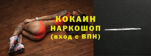 ПСИЛОЦИБИНОВЫЕ ГРИБЫ Заволжье