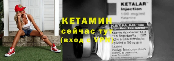 стаф Заводоуковск