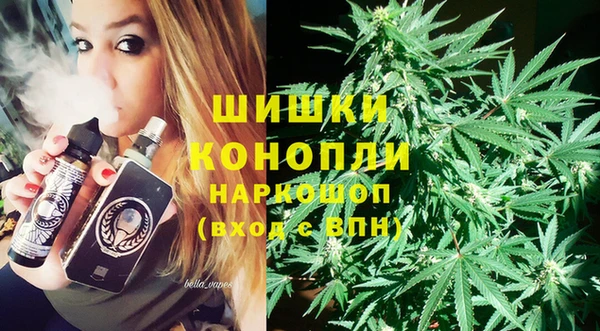 стаф Заводоуковск