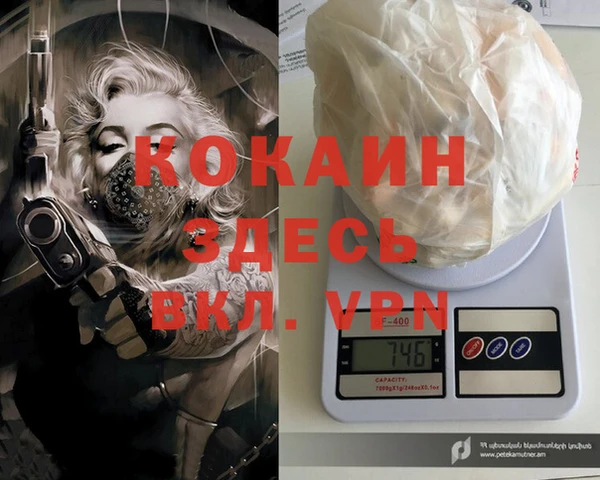 стаф Заводоуковск