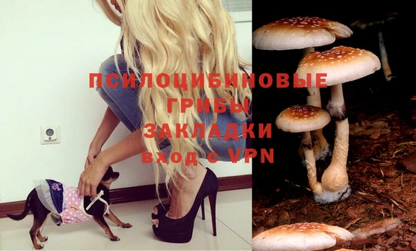 ПСИЛОЦИБИНОВЫЕ ГРИБЫ Заволжье