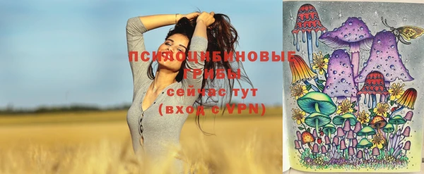 стаф Заводоуковск