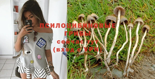 ПСИЛОЦИБИНОВЫЕ ГРИБЫ Заволжье