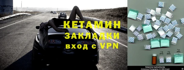 стаф Заводоуковск