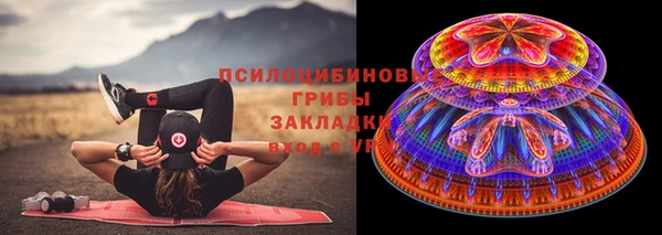 стаф Заводоуковск