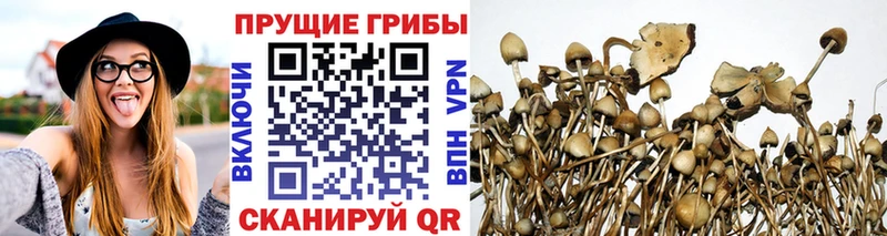 Псилоцибиновые грибы ЛСД  Купить  Южно-Сахалинск 